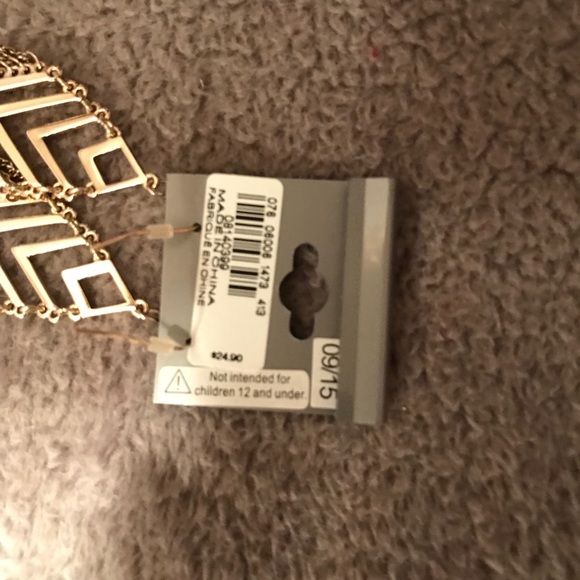 Express Earrings - Picture 4 of 4